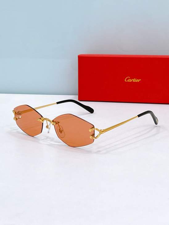 Picture of Cartier Sunglasses _SKUfw79566715fw